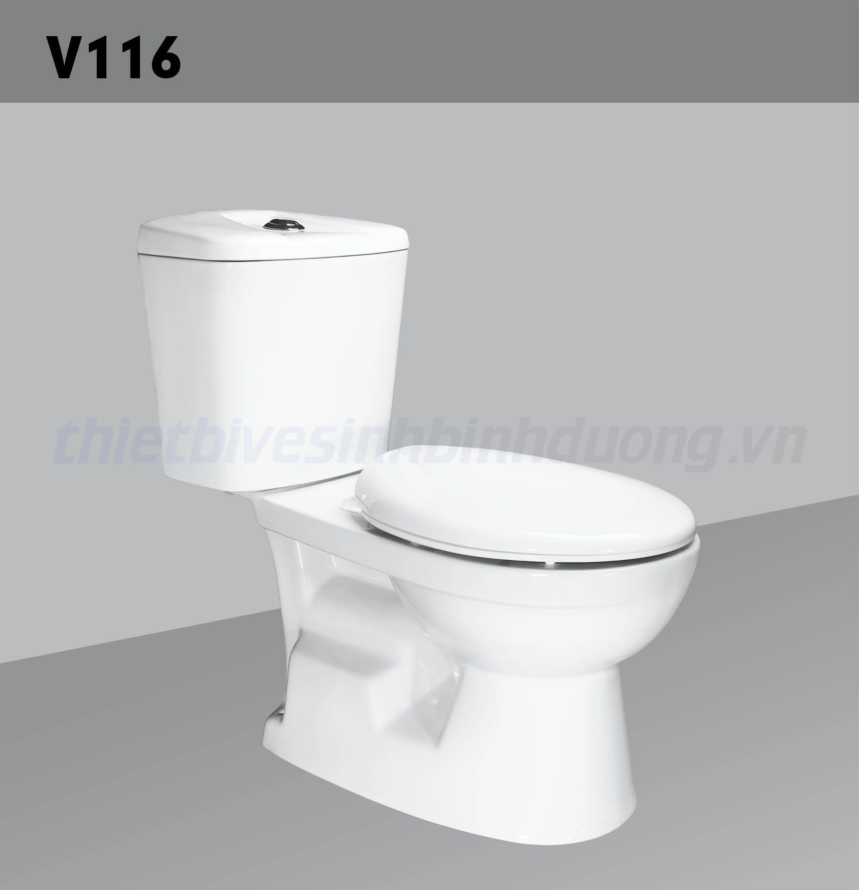 Bồn cầu sứ Hảo Cảnh HC V116